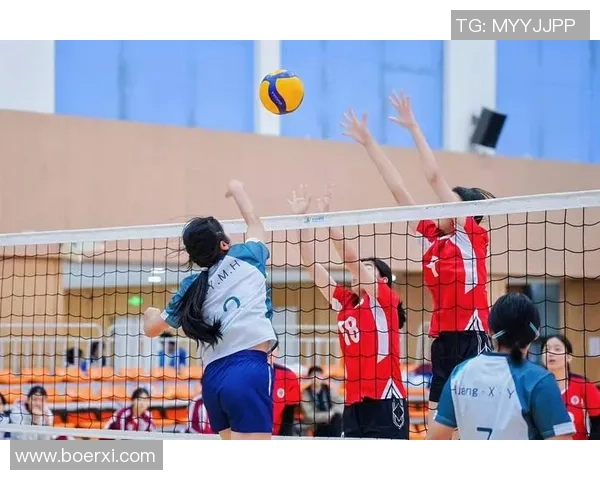 西安排球队如何通过团队协作提升排球竞技水平与默契配合
